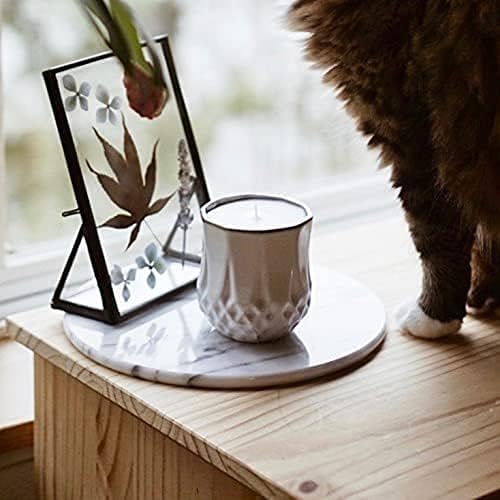 The Growing Candle, Mint & Eucalyptus Scented, 9oz Ceramic Pot, Aromatherapy Candles, 100% Soy, Astrid