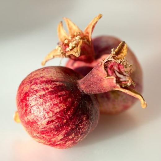 Live Dwarf Pomegranate Plant (Punica Granatum) - Compact, Ornamental Fruit Bearing Shrub, Indoor/Outdoor (2 pom-Dwarf Cups)