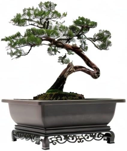 Bonsai Pot – 2-Pack 11.5 Inch Bonsai Training Pot with Eelegant Stand – Antique Brown Bonsai Pots with Mesh Drainage – Luxurious Bonsai Tree Pots Indoor Made with Recycled Plastic