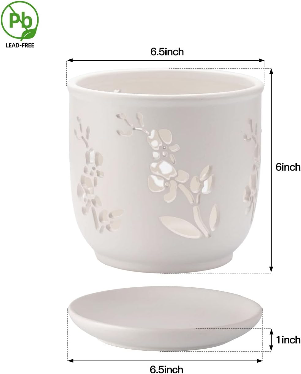Orchid Pot, 6.5 inch Large Orchid Pots with Holes for Healthy Growth and Easy Repotting, Premium Ceramic Orchid Planter for Indoor and Outdoor Use, (Note : Plant Not Included)