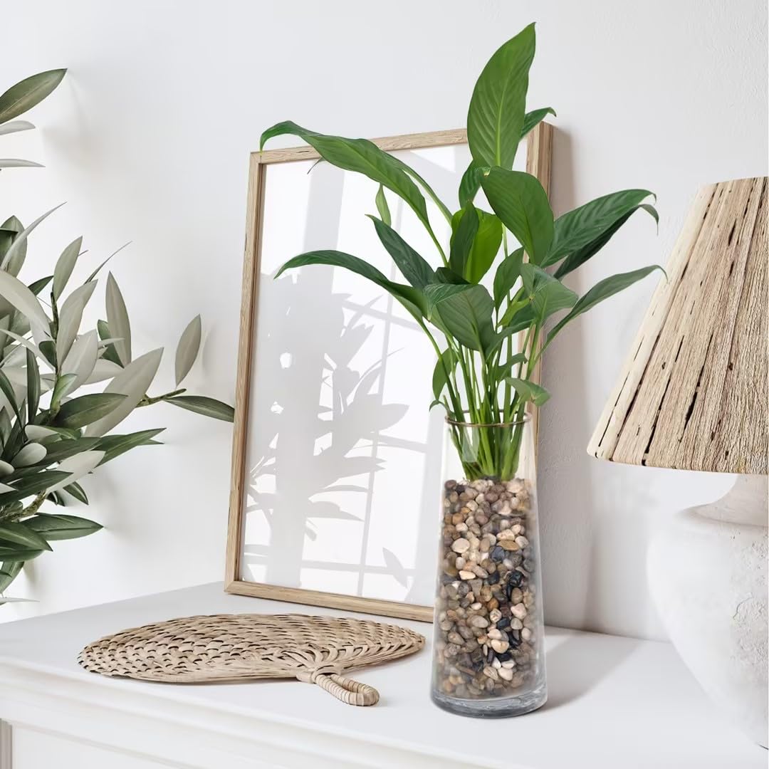 2.5 lbs Pebbles for Indoor Plants, Succulent, Bamboo, Vase, 3/8" Plant Rocks for Pots Indoor, Small River Rocks Decorative Pea Gravel, Highly Polished