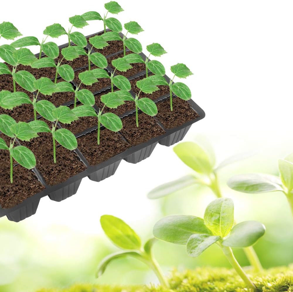 240 Cells -24 Grow Trays with Humidity Dome and Cell Insert - Mini Propagator for Seed Starting and Growing Healthy Plants Durable Reusable and Recyclable 10 Pack