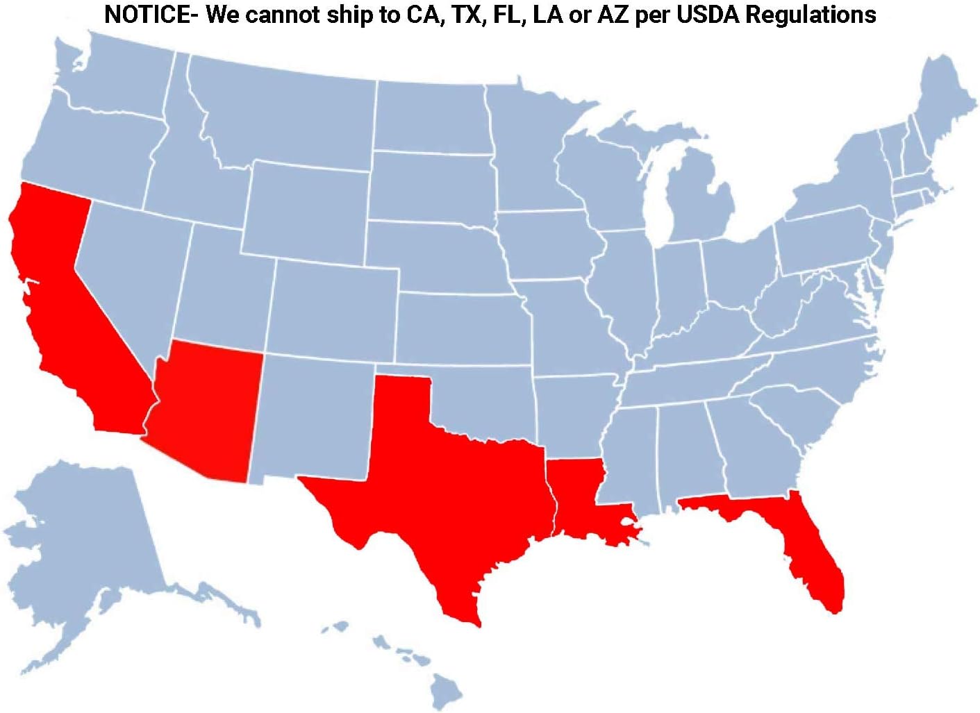 Brighter Blooms - Nules Clementine Tree, 1-2 Feet - Live Fruit Plant - No Shipping to AL, AZ, CA, FL, GA, LA, OR, TX, MS