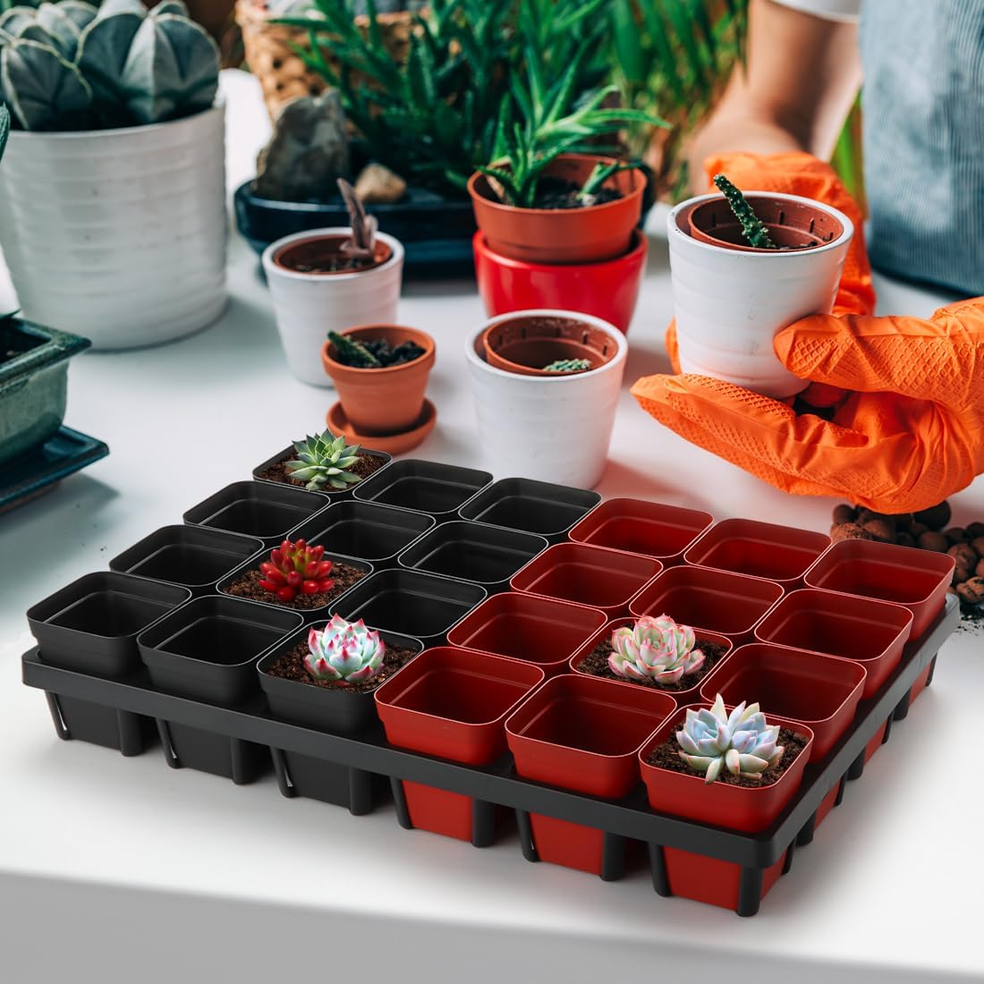 Square Nursery Pot Tray with 24 Cells, 5 Pack Plant Trays for Pots, Flower Pot Moving Tray, Plastic Planting Tray for Carrying Small Plant Pots(120 Cells in Total