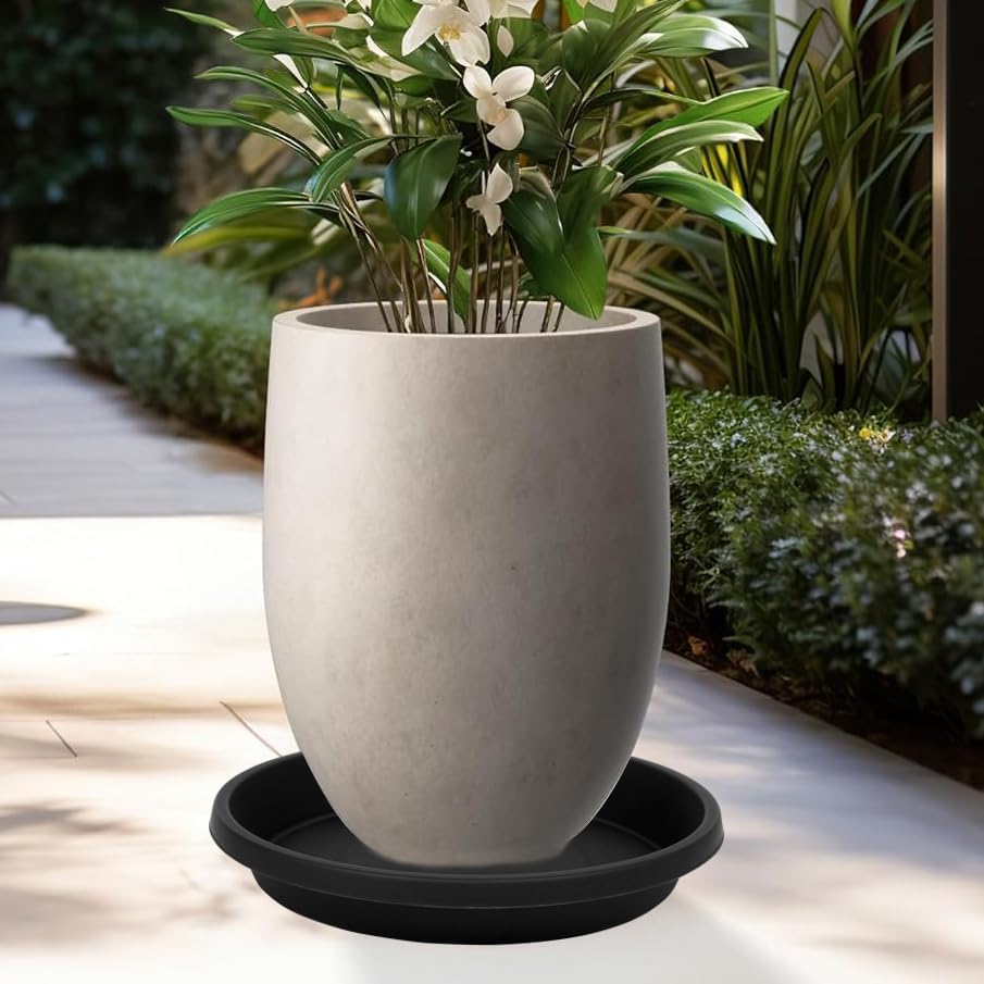 5 Pack Plant Saucer 8 Inch, Flower Pot Saucers Plant Trays for Pots, Plant Plates to Catch Water Indoor Plants, Plastic Planter Tray for Indoors, Planting Trays