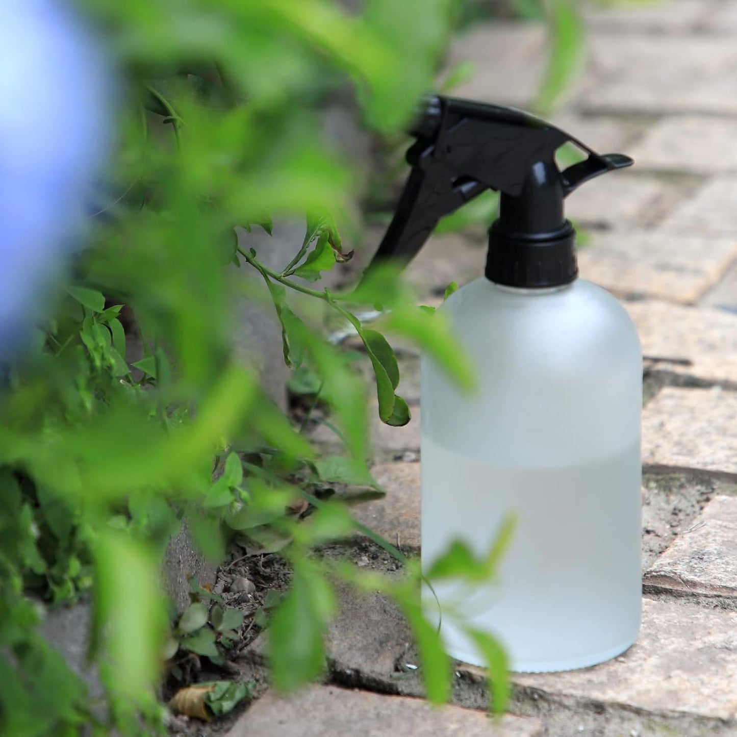 OFFIDIX Glass Spray Bottle,Plant Mister,Pressure Watering Can,Water Spray Bottle with Adjustable Nozzle,0.43L/15.17oz Handheld Spray Bottles for Outdoor Indoor Garden,Cleaning Solutions(Frosted Clear)