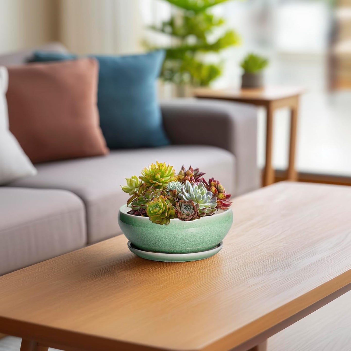 SQOWL Succulent Pots 6 Inch - Ceramic Bonsai Planter for Indoor Plants Outdoor, Shallow Planter with Drainage Hole and Tray, Round Planters for Cactus Flower, Office Decor, Gardening Gifts, Green