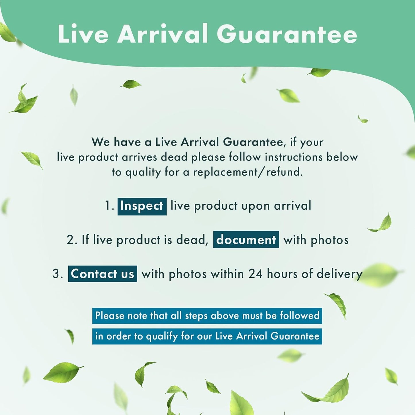 Live Aquarium Plants on Driftwood, Lava Rock, Moss, Fiber Mat - Freshwater Fish Tanks - Easy, Beginner Friendly (Christmas Moss on Coconut Rabbit)