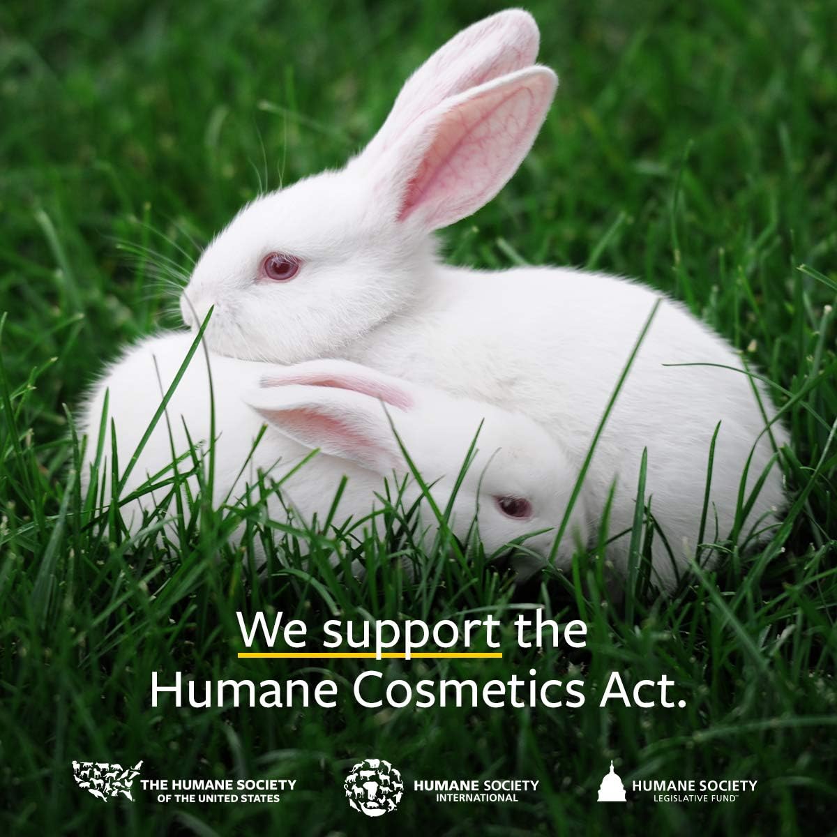 US Organic Mosquito Repellent Anti Bug Outdoor Pump Sprays, USDA Certification, Cruelty Free, Proven Results by Lab Testing, Deet-Free (2 oz - Extra Value 4 Pack)