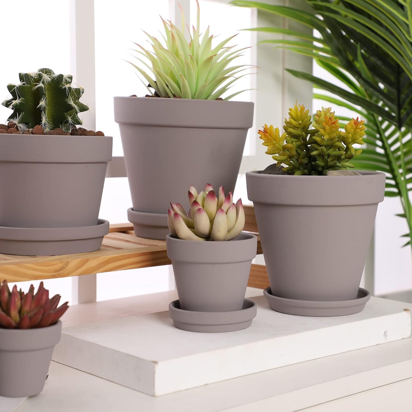 Yishang Large Terra Cotta Pots with Saucer- 6 Pack Large 6'' Terra Cotta Plant Pot with Drainage Hole, Flower Pot with Tray, Terracotta Pot for Indoor Outdoor Plant(Grey)