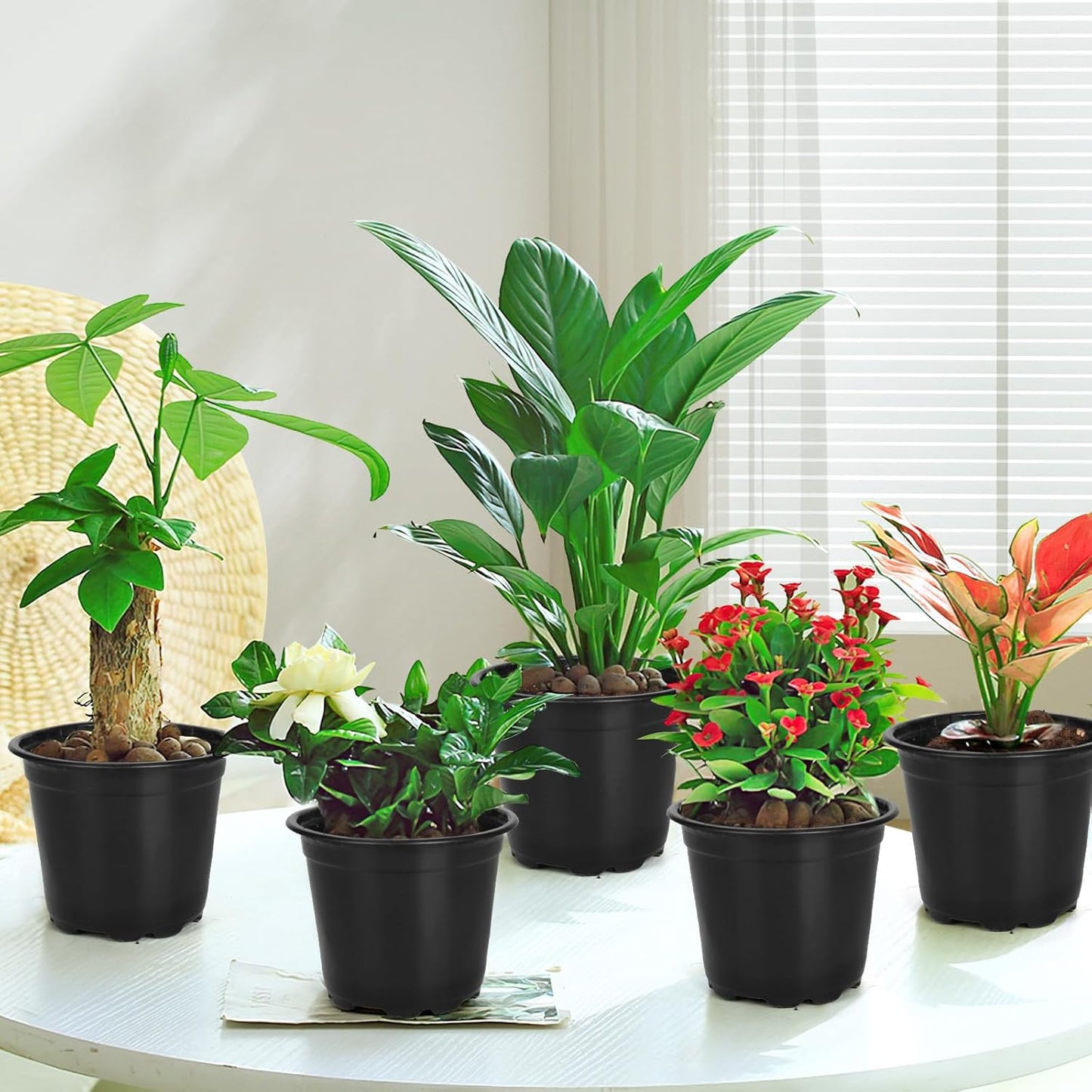 120 Packs 5 Inch Plant Nursery Pots, Plastic Seeds Starter Pots with Drainage Holes, Germination Soft Flower Plant Container for Succulents Seedling Cutting Transplanting (120, 5 Inch)