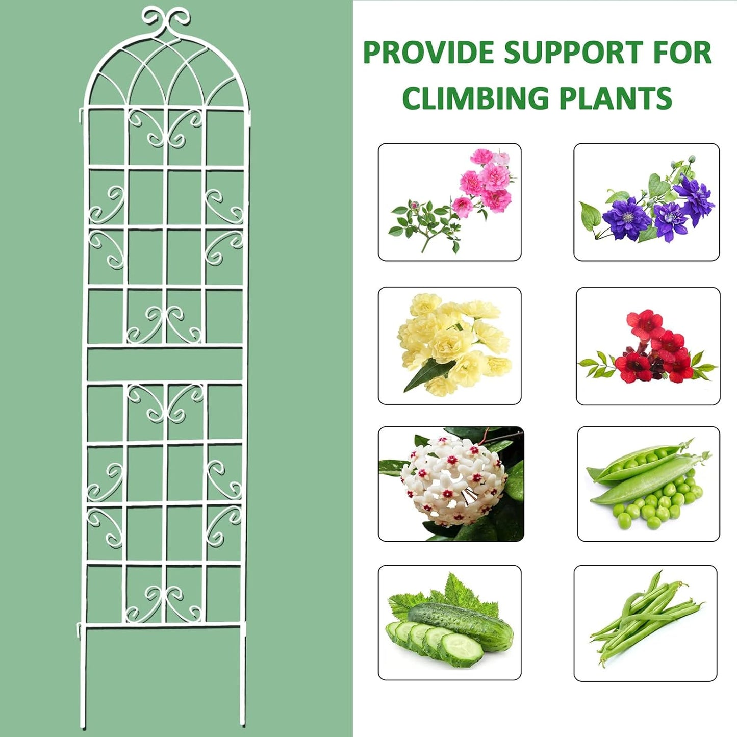 2 Pack Metal Garden Trellis 71" H Fence Rustproof Garden Trellis for Climbing Plants Support Roses Flower Outdoor Lawn, Cream White