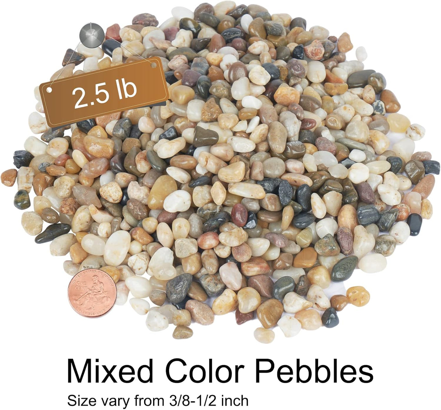 GASPRO 2.5 Pound Pebbles for Indoor Plants, 3/8 Inch Decorative Rocks for Vase, Succulents, Highly Polished, Mixed Color