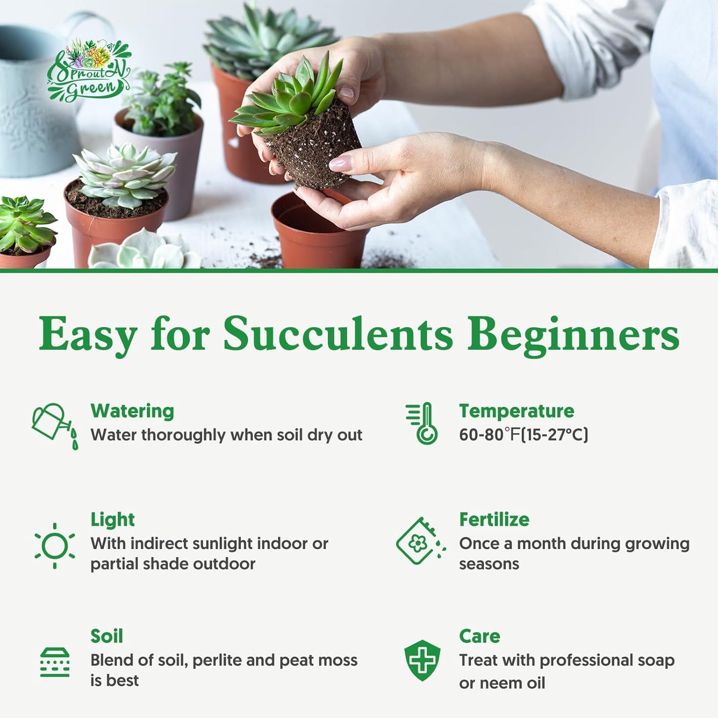 Sprout N Green Crassula 'Bonzai' Pruinosa Plant with 4 inch Starter Pot, Rare Live Succulent Plant Fully Rooted, Home Office Indoor Outdoor Wedding Decoration DIY Projects Party Favor