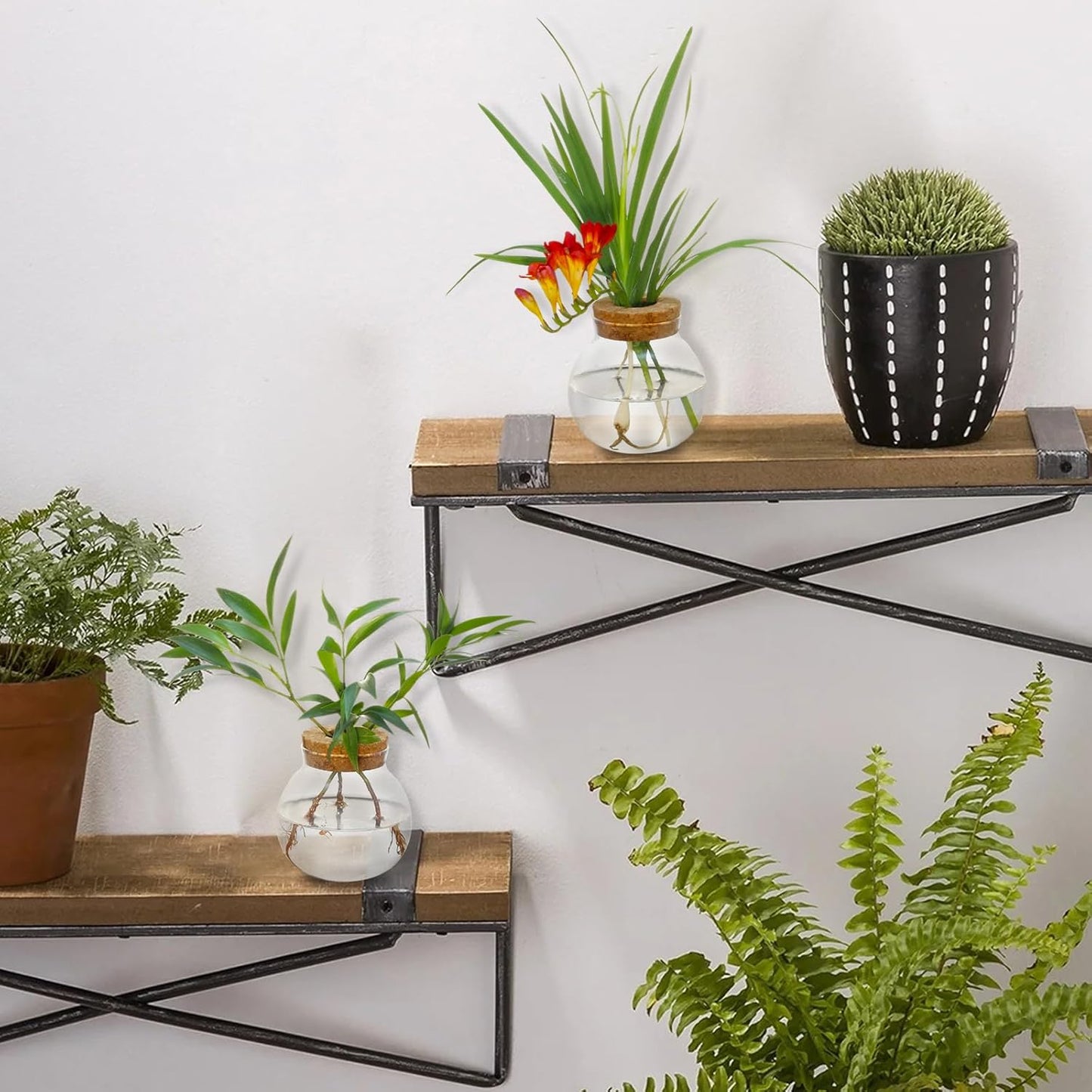 Plant Propagation Station,Hydroponic Terrarium Vase,Desktop Glass Planter Station,for Houses,Garden Decorations,ropagating Hydroponic Plants,Centerpiece Office,Home Garden Decor (2)