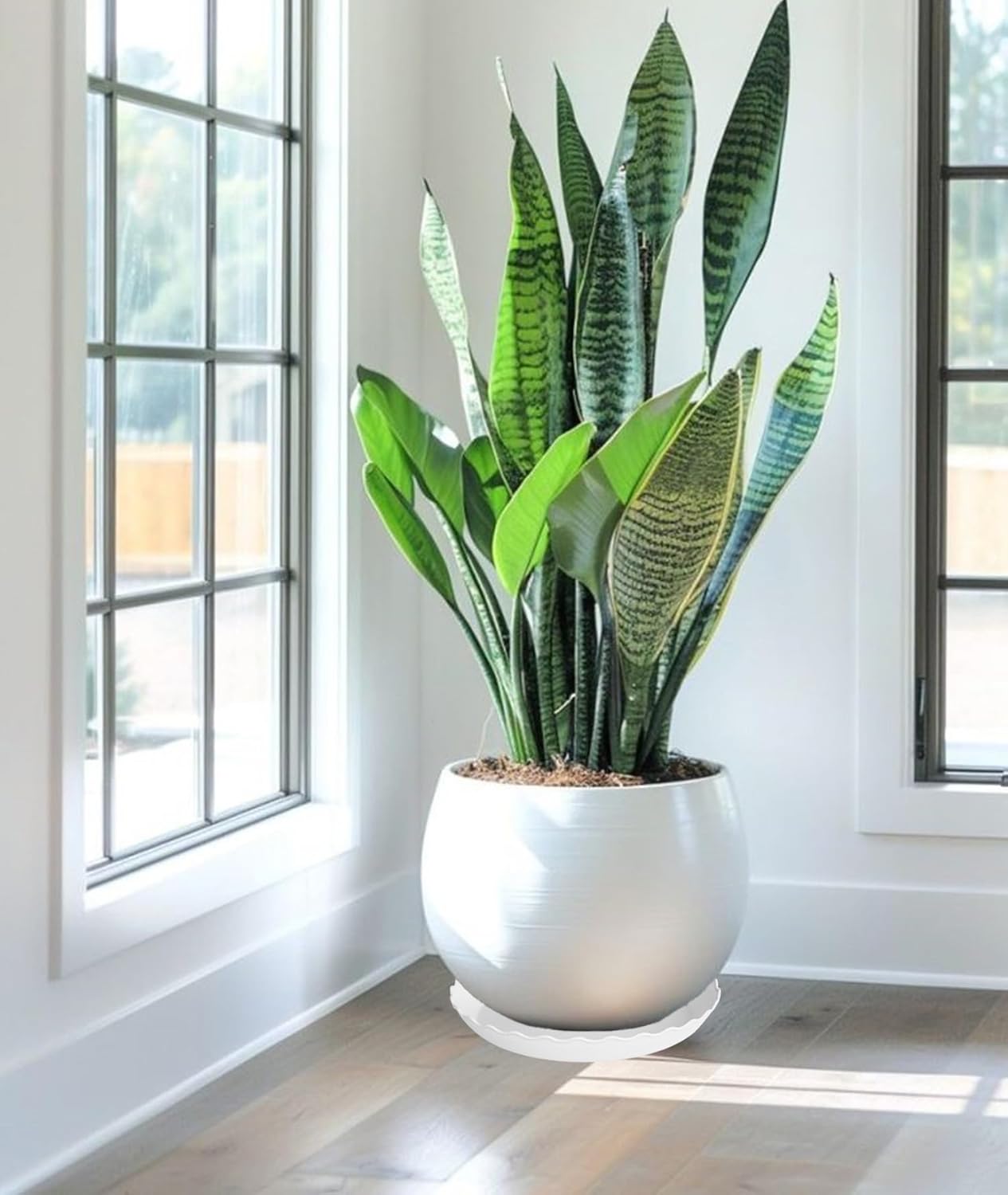 6 Pack Plant Saucer 10 inch, Heavy Duty Plastic Plant Saucers, Durable Plant Tray for Pots, Flower Saucers for Indoors, Plant Pot Saucers, Trays for Planter (White)