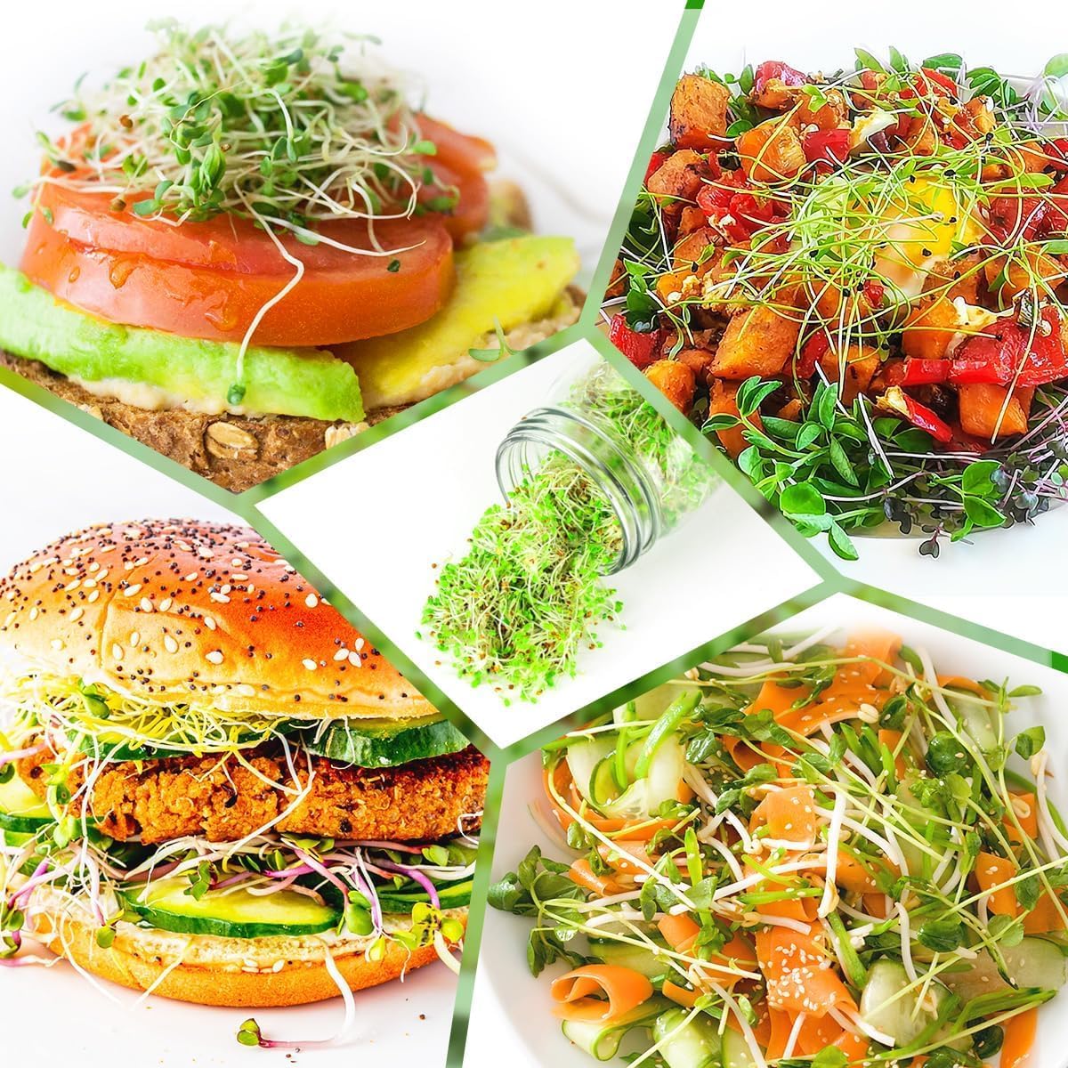 Organic Seed Sprouting Jar Kit – 2 × 32 oz Wide-Mouth Mason Jars with Stainless-Steel Sprouter Lids & Stand, Blackout Sleeves, Drain Tray – Grow Broccoli, Alfalfa & Bean Microgreens