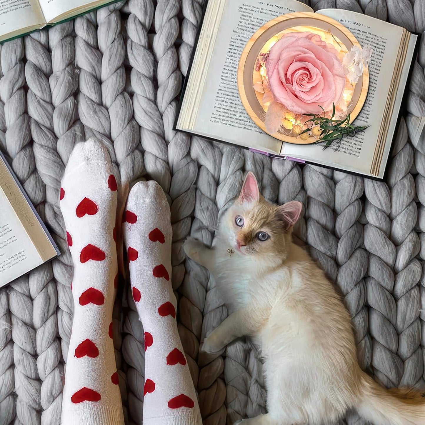 Flowers, Roses Gift โ Fresh Flowers Bouquet & Preserved Roses for Home Decor โ Forever Flowers for Delivery Prime to Show Love for Women, Unique for Mother's Day & Christmas