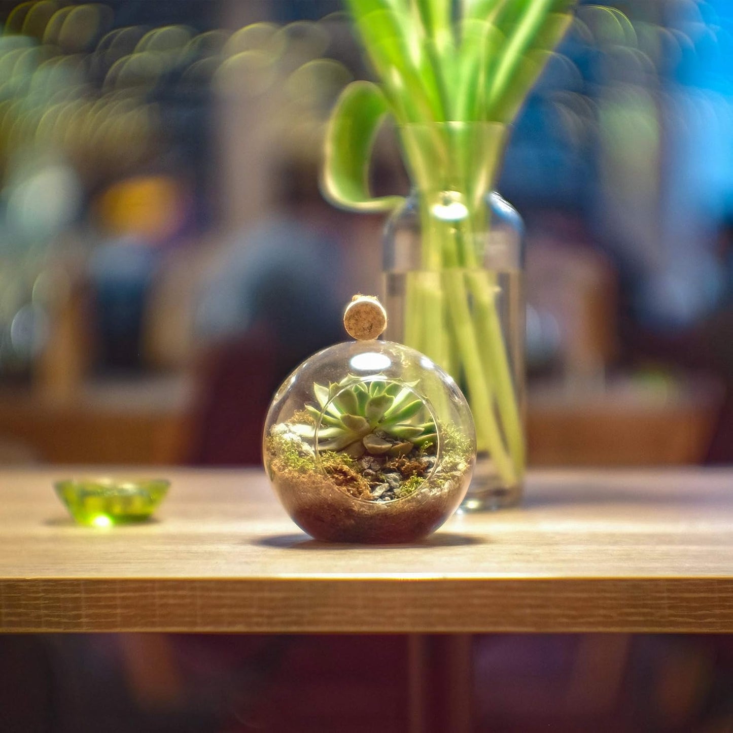 WGV Hanging Terrarium Globe, Width 6", Height 6.5", DIY Air Succulent Planter, Clear Glass Vase Orb with Flat Bottom, Candle Holder for Windowsill Outdoor Garden Decor, 1 Piece