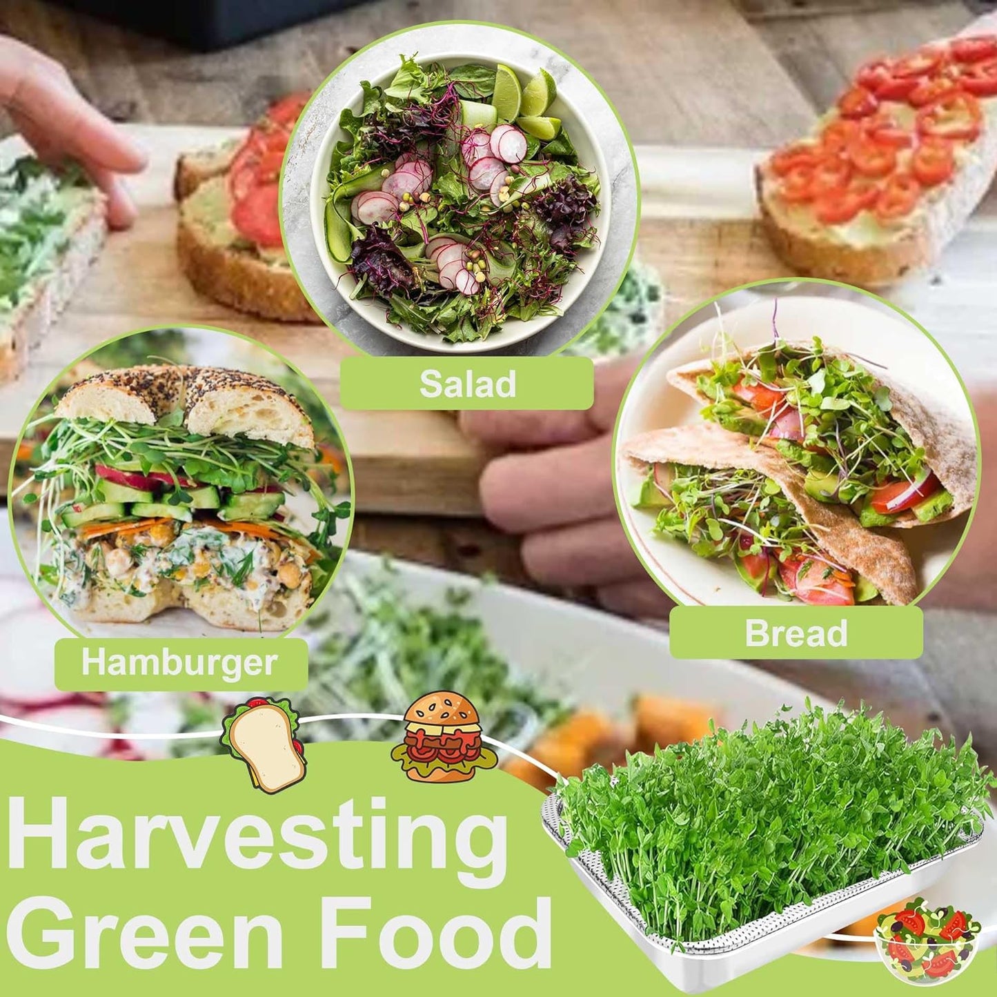 Stainless Steel Sprouts Growing Kit 2-Tier 10.4 inch Trays, Microgreens Growing Kit, Seed Sprouting Tray with Encrypted Mesh Sprouts for Beans Alfalfa Broccoli Wheat Grass