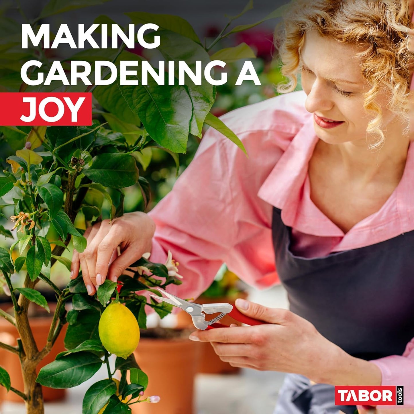 TABOR TOOLS Pruning Shears, Florist Scissors, Multi-Tasking Garden Snips for Arranging Flowers, Trimming Plants and Harvesting Herbs, Fruits or Vegetables. K17A. (Straight, Stainless Steel Blades)