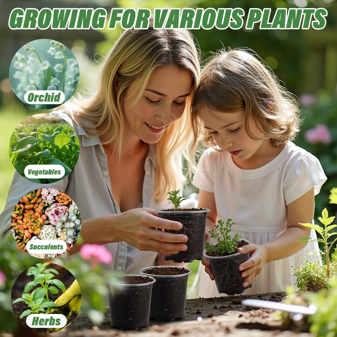 3.5" Clear Seeding Pots 20 Pack Round for Seeds Starter Pot, Seeds Germination Transparent Nursery Pots with Drainage Holes (Clear,3.5Inch,20PCS)
