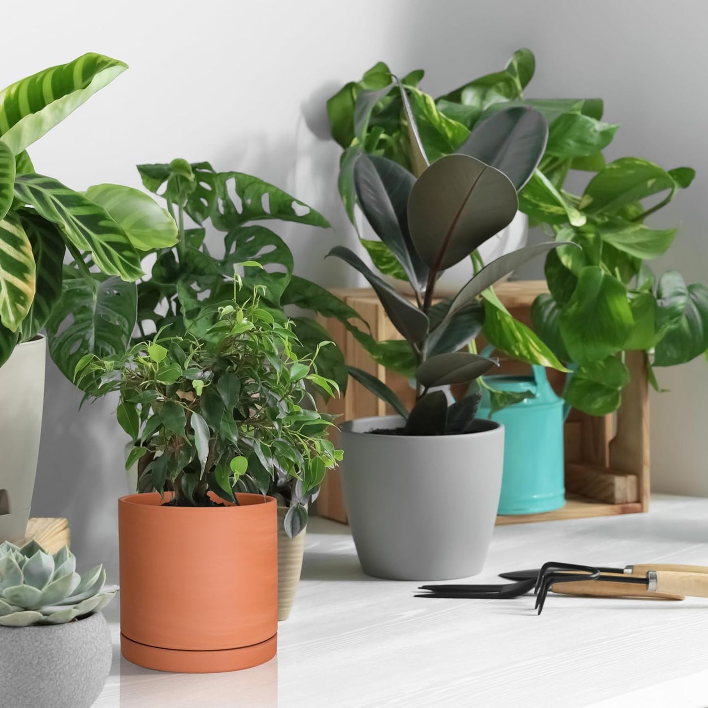 D'vine Dev Small Plus 5 Inch Terracotta Plant Pot with Drainage Hole and Saucer, Round Cylinder Planter Pot for Indoor Plants, 40-X-A-2