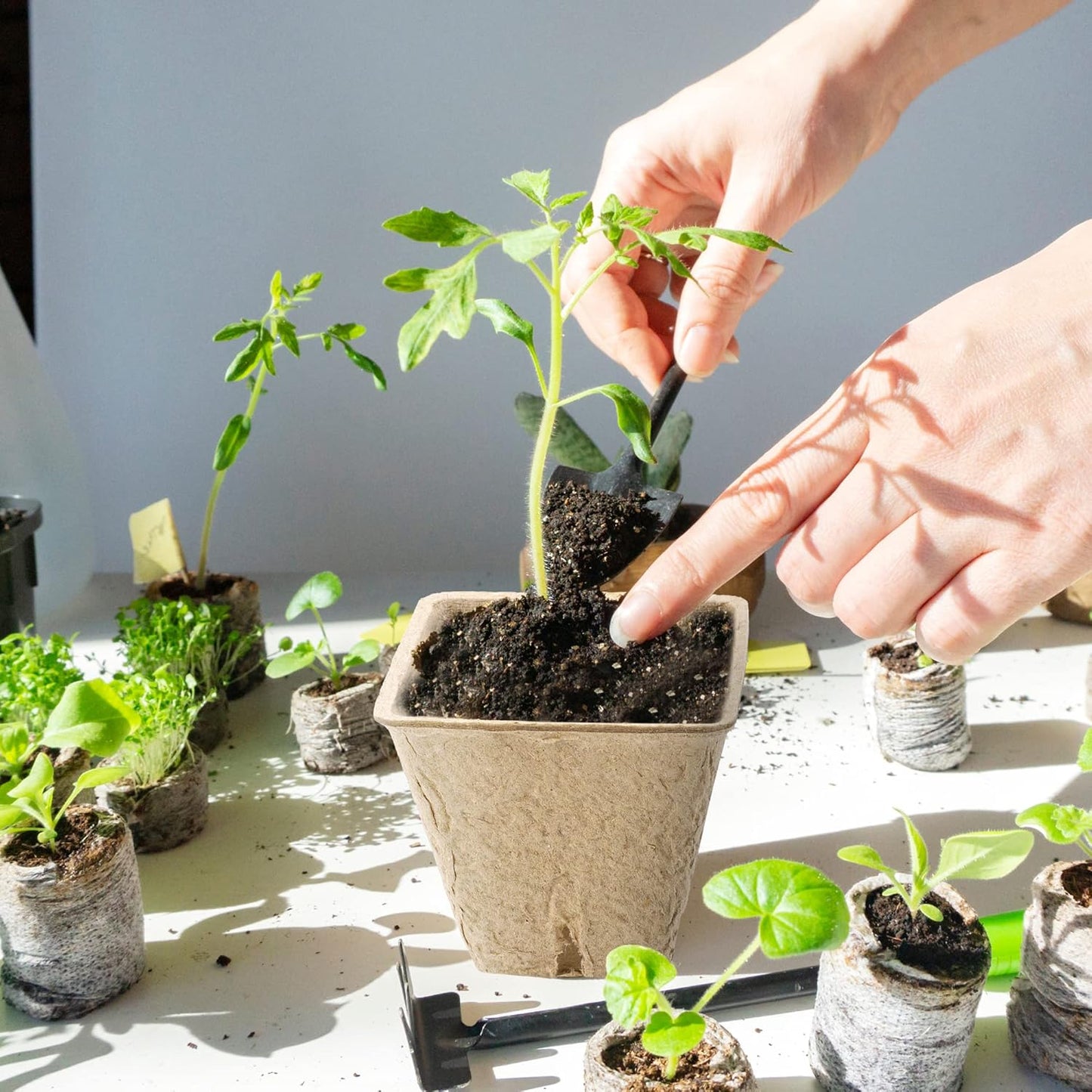 180 Pieces Peat Pots Plant Starters 2.3 Inch Square Peat Pots for Herb Seedlings Garden Germination Nursery Pots Organic Germination Plant Starter with Plant Markers Labels for Plants Supplies