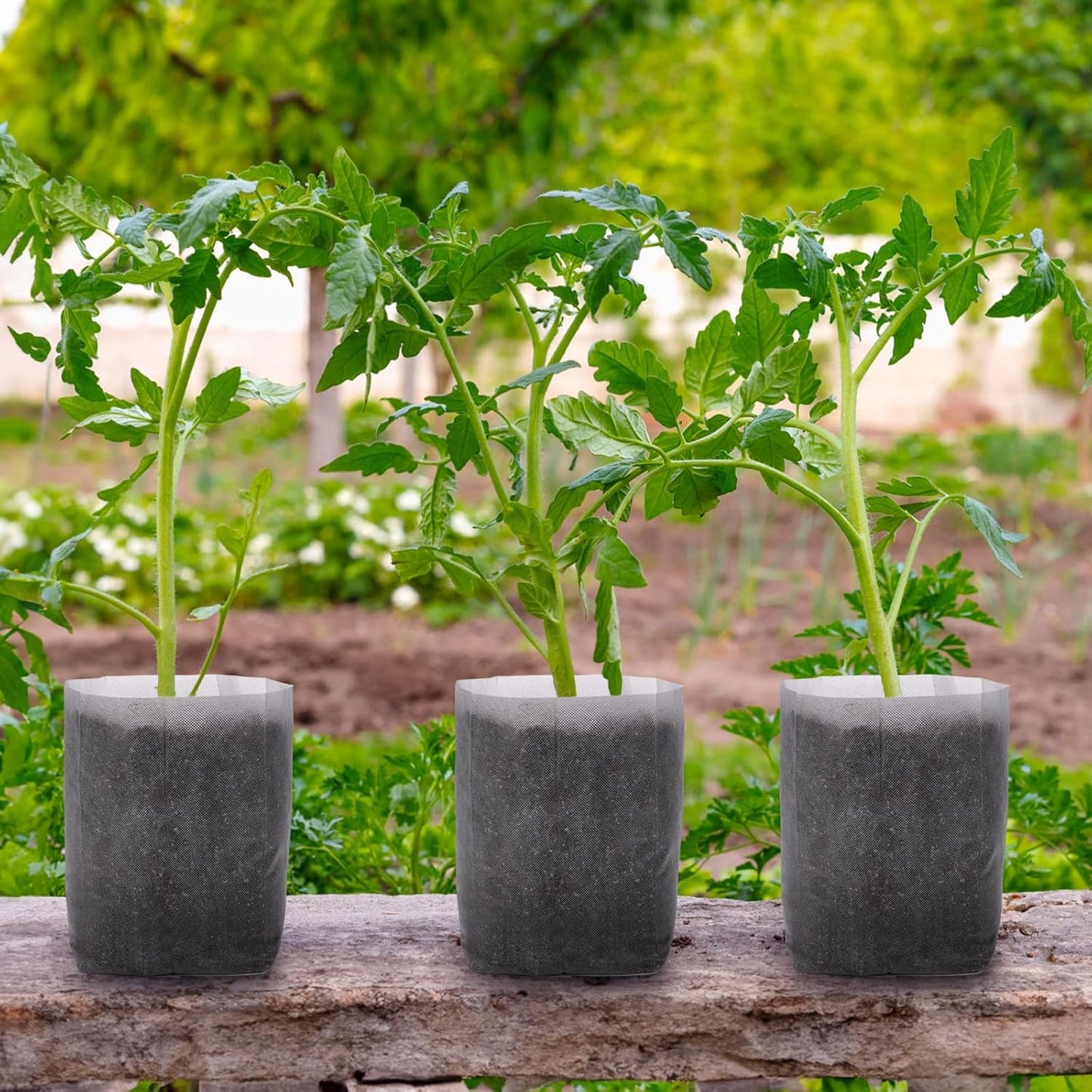 GREANER Degradable Grow Bags, 12.6"x13.4" Plant Bags for Home Garden Greenhouse Supplies, 50-Pack Large Fabric Pots for Vegetable Flower Fruits Potato Tomato Garden Seed Starting