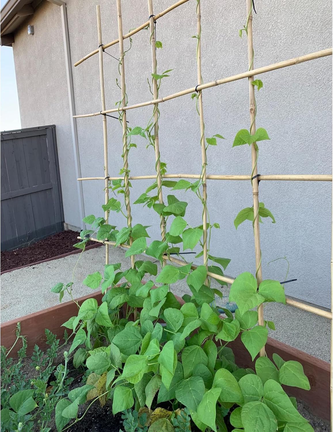 0.32”-0.4"/ 4 Feet Garden Stakes, Natural Bamboo Sticks Plant Stakes for Indoor and Outdoor Plants,Poles for Tomatoes, Beans, Potted Plants(50Pcs)