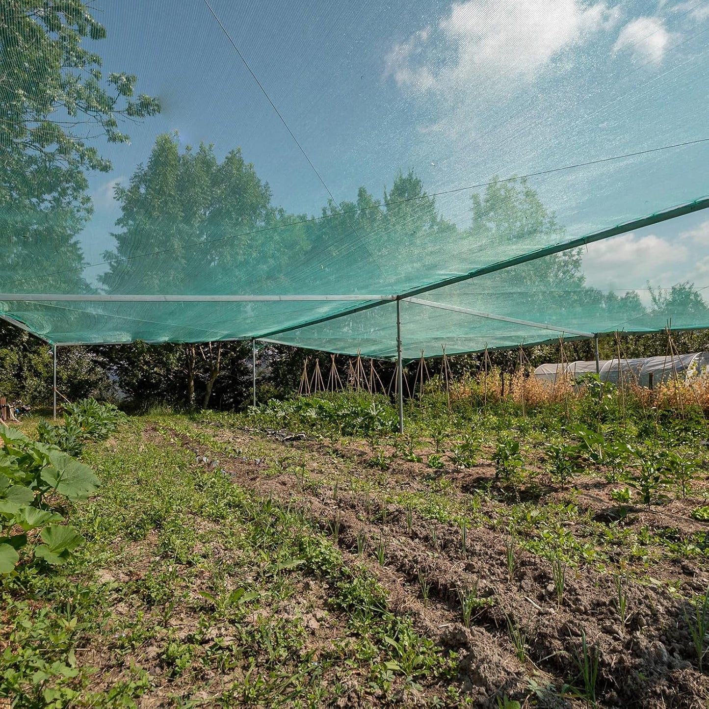 Woanger 10 x 100 ft Garden Mesh Netting Ultra Fine Plant Covers Garden Netting to Protect Vegetable Plants Fruits Flowers Crops Greenhouse Row Cover Patio Barrier Screen Protection Net (Green)