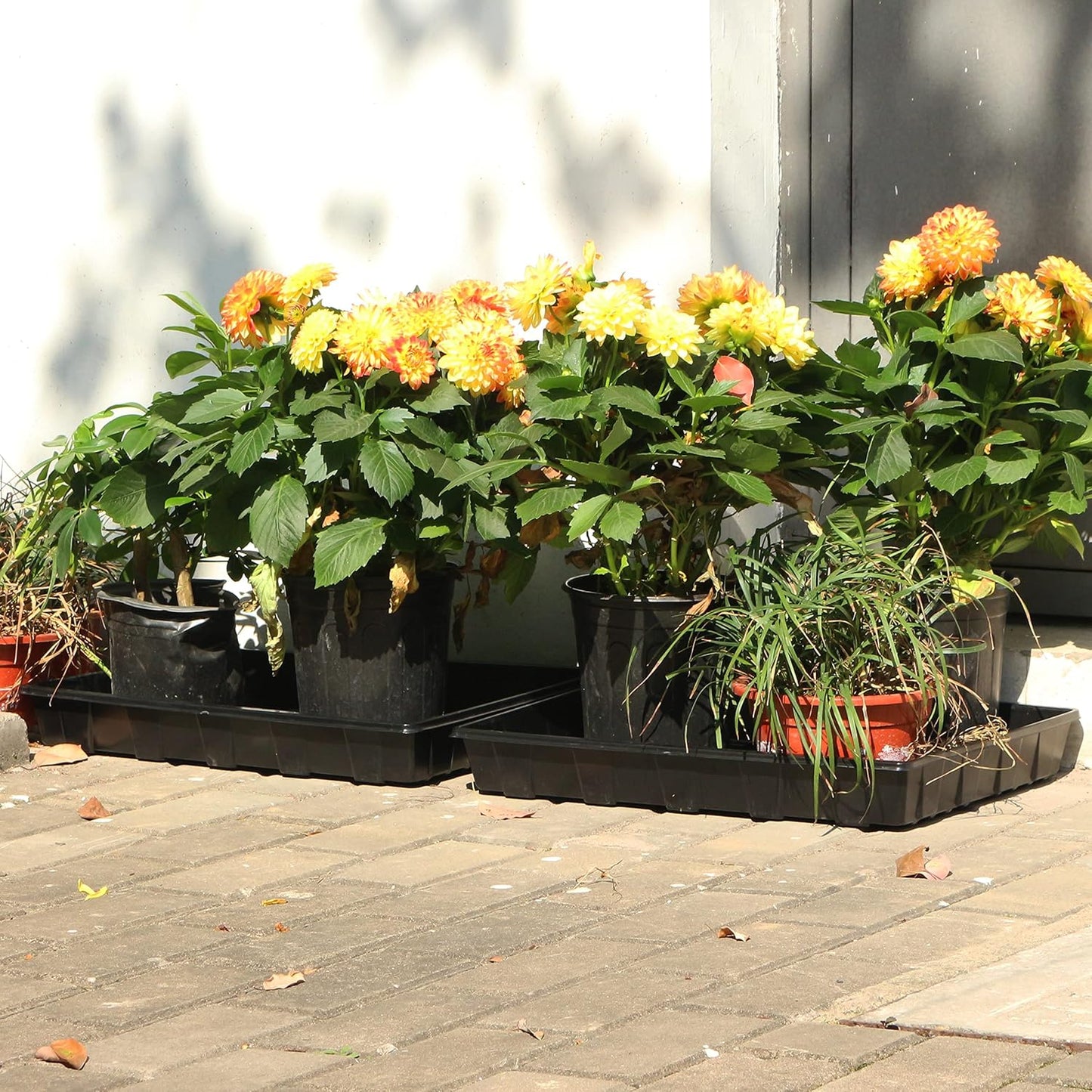 Gardzen 10 Pack Seed Trays, Reusable Plant Grow Trays, Ideal for Seed Starting, Microgreens, Indoor Gardening, and Greenhouse Plant Nurseries - No Drain Holes, 17.3" x 13"