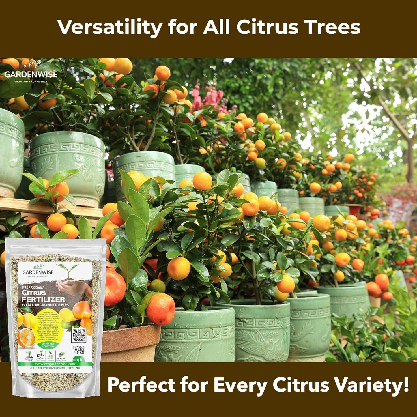 Professional Citrus Fertilizer + Vital Micronutrients; Perfect Balanced NPK for All Citrus; for Indoor and Outdoor Plants; Orange, Lime, Avocado and Lemon Tree Fertilizer (1 Quart)