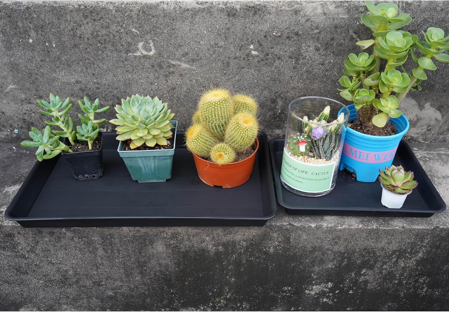 2 Pack Plant Saucer Tray Rectangular, Plant Growing Nursery Trays, Heavy Sturdy Seed Starting Trays, Plants Starter Saucers for Indoors No Holes, Seed Starter Growing Tray (17.5"x10.6", Black)