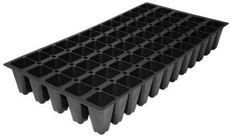 Evergreen Giant Liriope Muscari - 10 Live Plants - Drought Tolerant Low Maintenance Evergreen Groundcover Grass