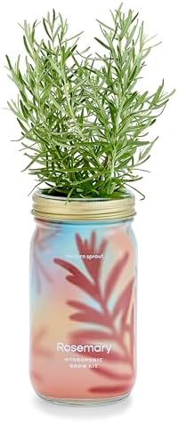 Modern Sprout Mason Garden Jar - Self-Watering Hydroponics Growing System Kit with Organic Herb Seeds - Jar Planter for Indoor Herb Garden - Seed Starter Kit - Home Decor & Gifting - Rosemary