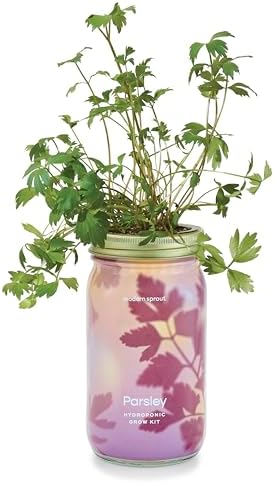 Modern Sprout Mason Garden Jar - Self-Watering Hydroponics Growing System Kit with Organic Herb Seeds - Jar Planter for Indoor Herb Garden - Seed Starter Kit - Home Decor & Gifting - Parsley