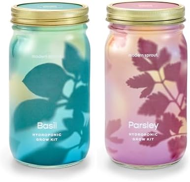 Modern Sprout Mason Garden Jar - Self-Watering Hydroponics Growing System Kit with Organic Herb Seeds - Jar Planter for Indoor Herb Garden - Seed Starter Kit - Home Decor & Gifting - Basil+Parsley