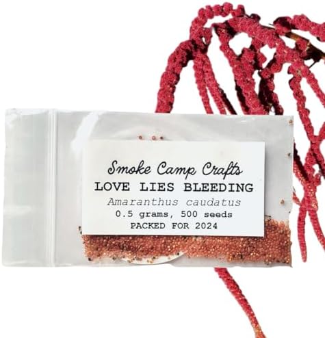 Organic Love Lies Bleeding Seeds (Amaranthus caudatus) 500 Seeds (0.5 Grams) - Foxtail Amaranth, Love-Lies Bleeding, Tassel Flowe, Velvet Flower, Gorgeous Unique Cut Flower by Smoke Camp Crafts