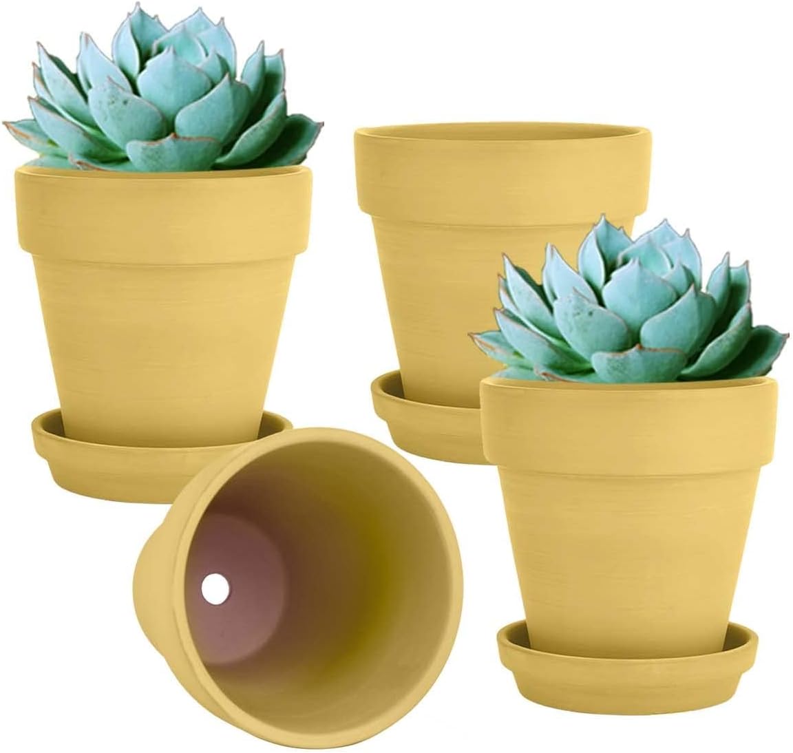 vensovo 6 Inch Yellow Terracotta & Clay Pots for Plant with Saucer - 4 Pack Medium Terra Cotta Planter with Drainage Hole, Flowerpot for Indoor Outdoor Plants, Crafts, Wedding Favor
