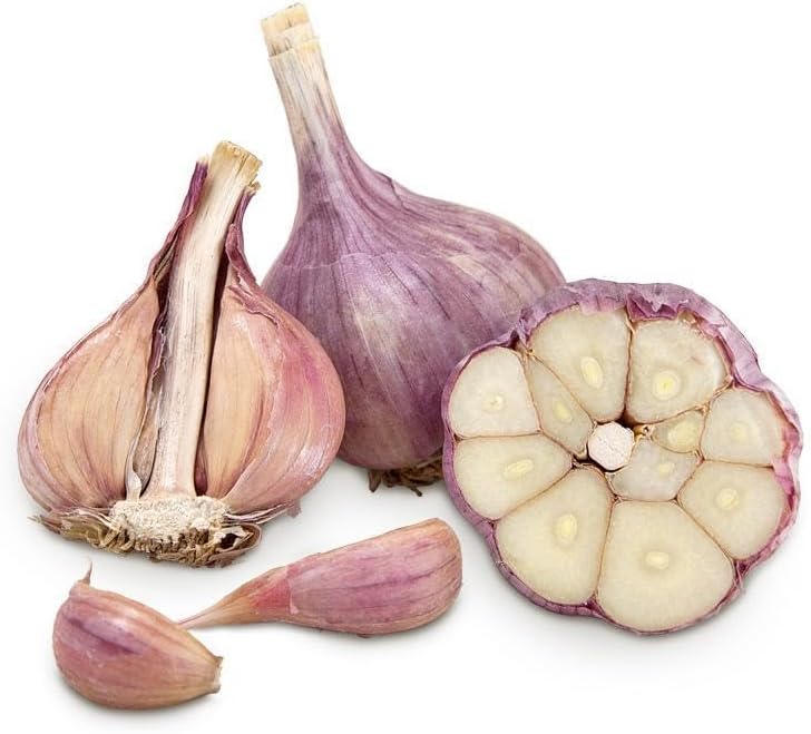 5 Pack of Fresh Purple Garlic Bulb - Great for Planting and Growing OR Eating by Greenhouse PCA