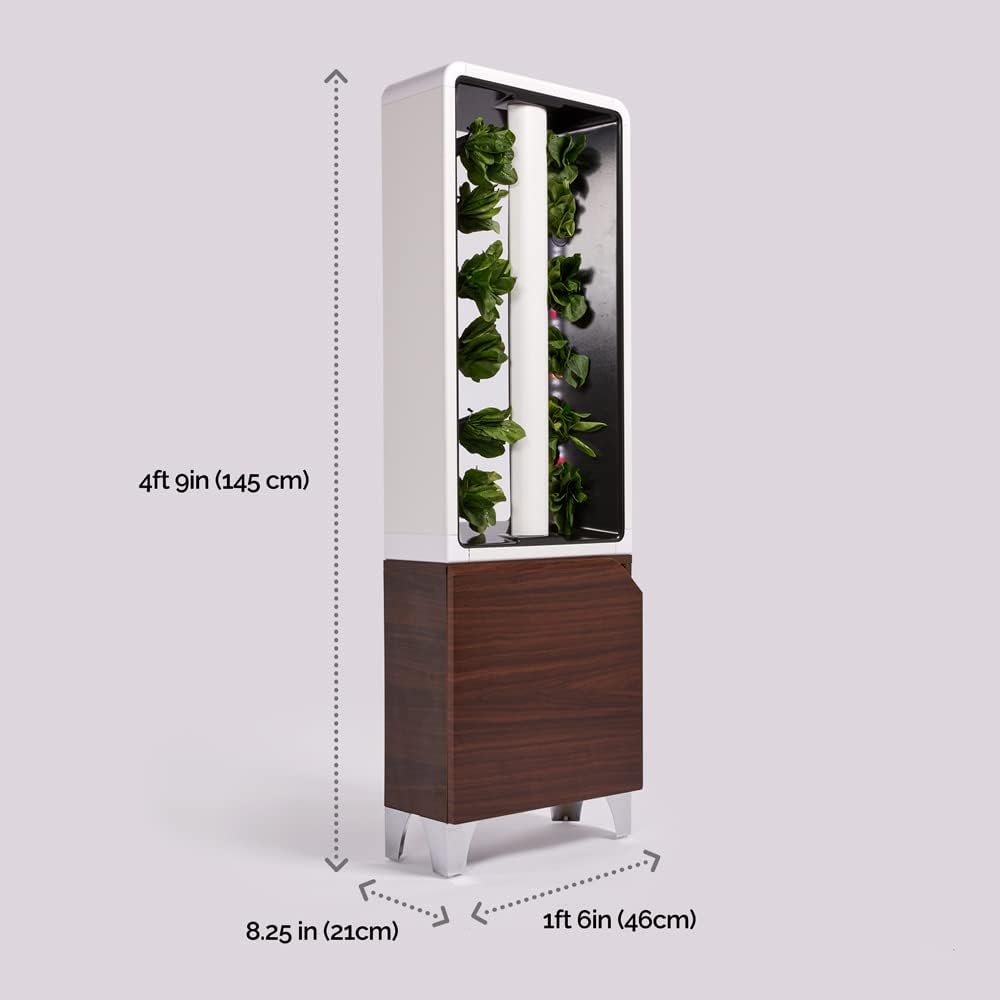 Just Vertical EVE Indoor Hydroponic Garden | Modern Furniture-Style Vertical Planter | Grow 12 Fresh Herbs & Vegetables Year-Round | Self-Watering, Energy-Efficient LED, Compact Design