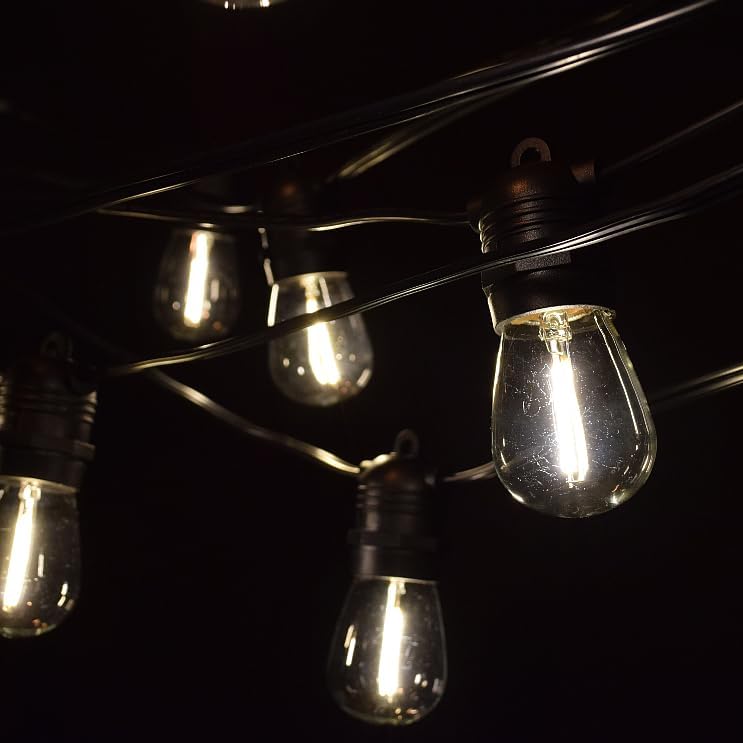 Hometown Evolution, Inc. 100' E26 Commercial LED Outdoor String Lights (100 Foot 50 Socket, S14 LED Filament 1 Watt Light Bulbs)
