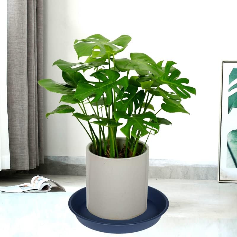 2 Pack of 18 19 inch Plant Saucer Drip Tray (16.6 inch Base), Heavy Duty Deep Plant Saucers for Pots, Plastic Flower Planter Water Trays for Indoors Outdoor (19", Blue)