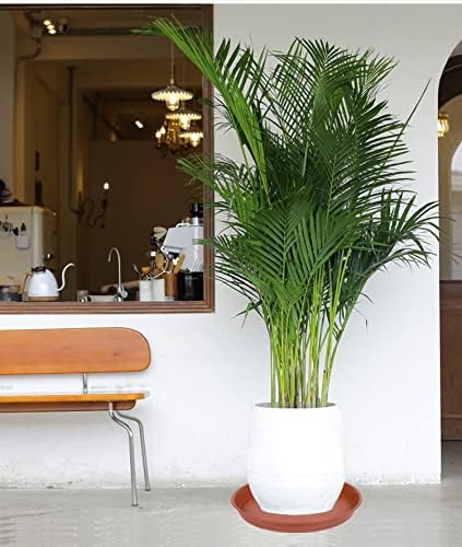 4 Pack of 13 inch Plant Saucer, Heavy Duty Plastic Plant Saucer 13" Round, Plant Tray for Pots, Flower Plant Saucers for Indoors, Plant Trays for Planter 11"/12"/13" (13", Terracotta)