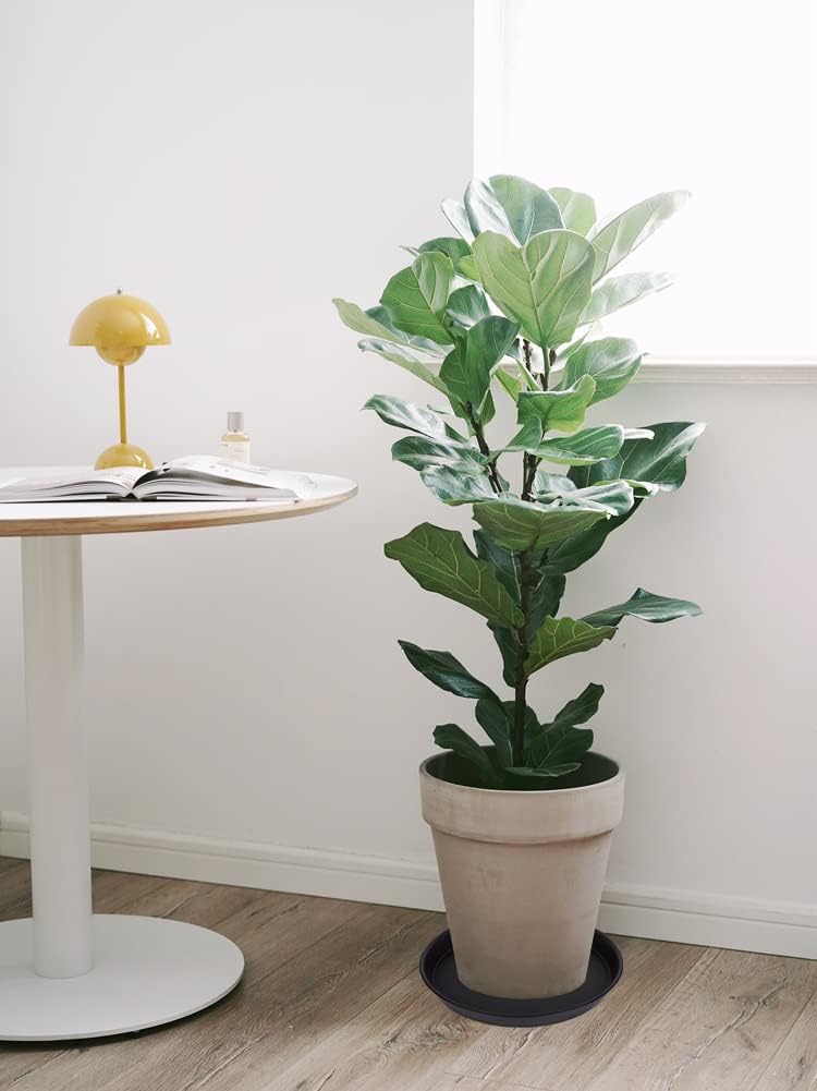 2 Pack of 14 inch Plant Saucer, Heavy Duty Round Plant Trays for Pots, Plastic Plant Water Tray, Flower Plant Saucers for Indoors, Pot Drip Trays for Planter 12-14" (14", Black)