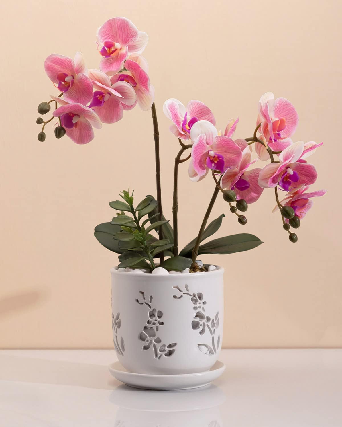 Orchid Pot, 6.5 inch Large Orchid Pots with Holes for Healthy Growth and Easy Repotting, Premium Ceramic Orchid Planter for Indoor and Outdoor Use, (Note : Plant Not Included)