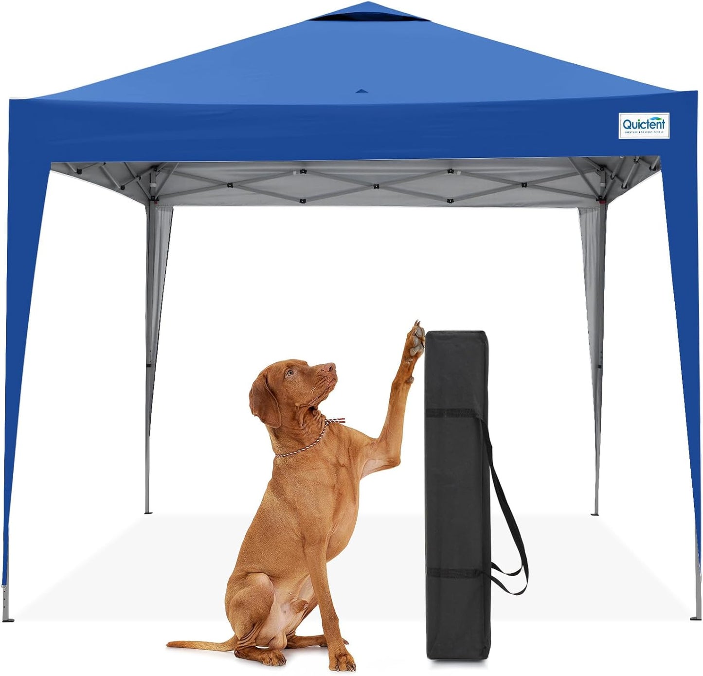 Quictent 10x10 Pop Up Canopy Tent, Instant Setup Gazebo for 1 Person, Portable & Compact, Waterproof & UV Protection, Ideal for Camping, Beach, Parties, and Outdoor Events