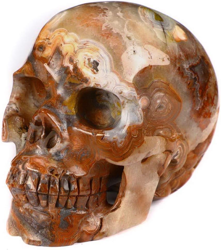Skullis 4.1" Red Crazy Lace Crystal Skull, Hand Carved Gemstone Fine Art Sculpture, Reiki Healing Stone Statue Z8