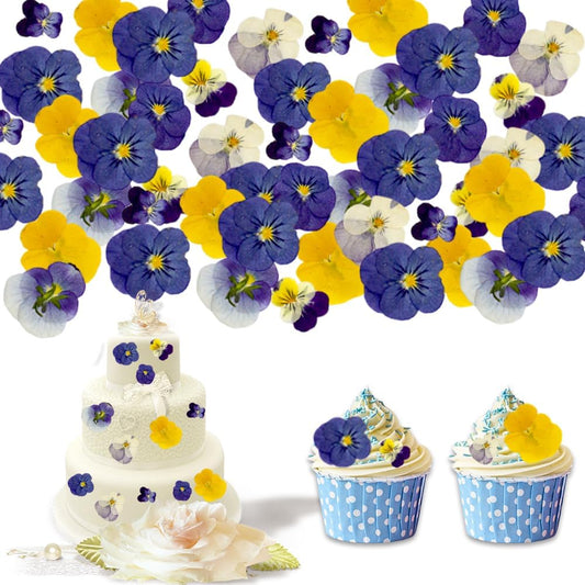 48Pcs 8 Kinds Natural Dried Pressed Edible Flowers for Cake Topper Decorating - Mix Viola Tricolor for Cocktails Cupcake Toppers, Resin DIY Art Jewelry Candle & Soap Making